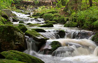 Hotel am Nationalpark Bayerischer Wald